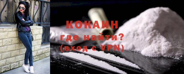бошки Бородино