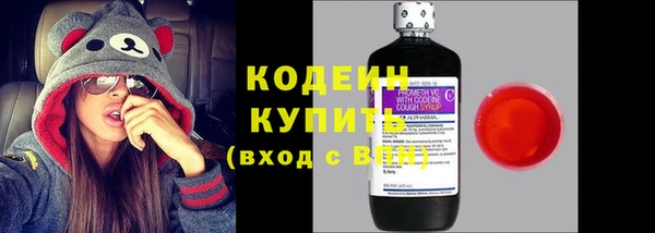 бошки Бородино