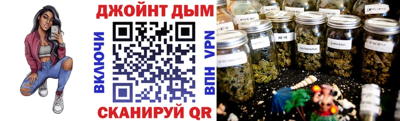 магазин продажи наркотиков  Владимир  Каннабис конопля 